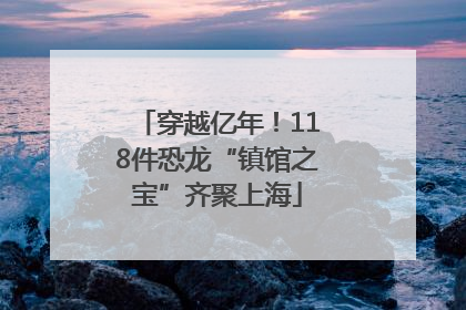 穿越亿年！118件恐龙“镇馆之宝”齐聚上海