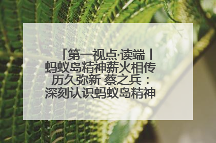 第一视点·读端丨蚂蚁岛精神薪火相传历久弥新 蔡之兵：深刻认识蚂蚁岛精神的“精气神”