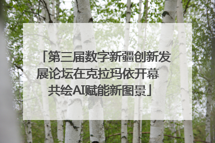 第三届数字新疆创新发展论坛在克拉玛依开幕 共绘AI赋能新图景
