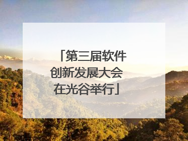 第三届软件创新发展大会在光谷举行