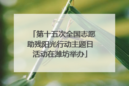 第十五次全国志愿助残阳光行动主题日活动在潍坊举办