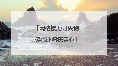网格接力寻失物 暖心速归抚民心