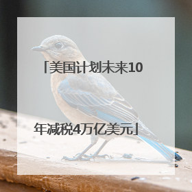 美国计划未来10年减税4万亿美元