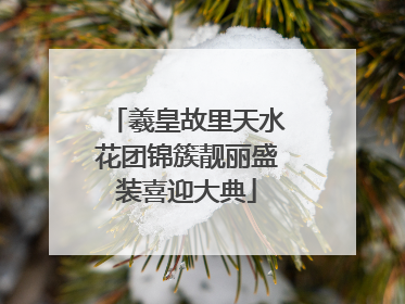 羲皇故里天水花团锦簇靓丽盛装喜迎大典