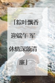 粽叶飘香迎端午 军休情深颂清廉