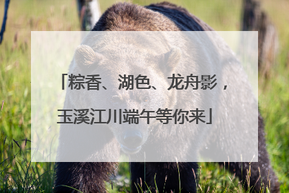 粽香、湖色、龙舟影，玉溪江川端午等你来