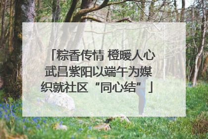 粽香传情 橙暖人心 武昌紫阳以端午为媒织就社区“同心结”
