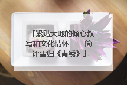 紧贴大地的倾心叙写和文化情怀——简评雪归《青绣》