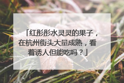 红彤彤水灵灵的果子，在杭州街头大量成熟，看着诱人但能吃吗？