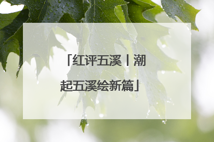 红评五溪丨潮起五溪绘新篇