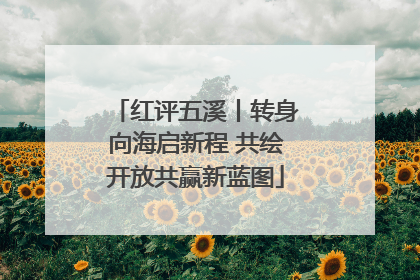 红评五溪丨转身向海启新程 共绘开放共赢新蓝图