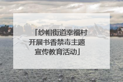 纱帽街道幸福村开展书香禁毒主题宣传教育活动