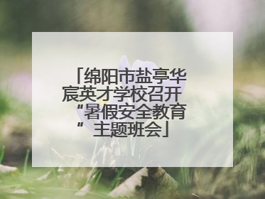 绵阳市盐亭华宸英才学校召开“暑假安全教育”主题班会