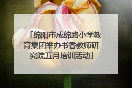 绵阳市成绵路小学教育集团举办书香教师研究院五月培训活动