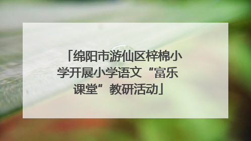 绵阳市游仙区梓棉小学开展小学语文“富乐课堂”教研活动