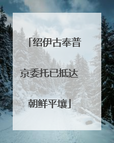 绍伊古奉普京委托已抵达朝鲜平壤