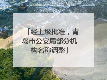 经上级批准，青岛市公安局部分机构名称调整