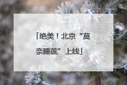 绝美！北京“莫奈睡莲”上线