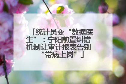 统计员变“数据医生”：宁阳前置纠错机制让审计报表告别“带病上岗”