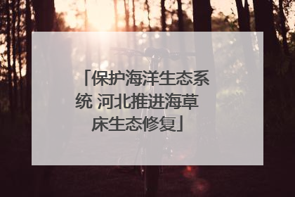 保护海洋生态系统 河北推进海草床生态修复