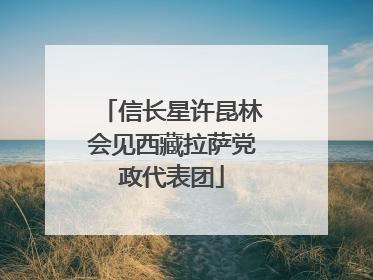 信长星许昆林会见西藏拉萨党政代表团