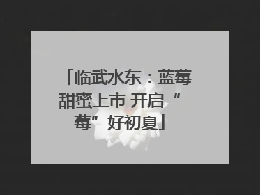 临武水东：蓝莓甜蜜上市 开启“莓”好初夏