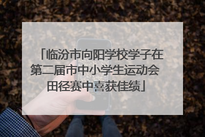 临汾市向阳学校学子在第二届市中小学生运动会田径赛中喜获佳绩