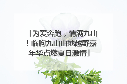 为爱奔跑，情满九山！临朐九山山地越野嘉年华点燃夏日激情