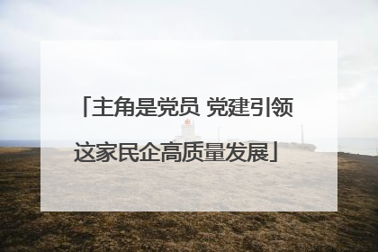 主角是党员 党建引领这家民企高质量发展