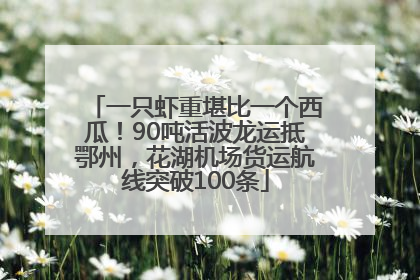一只虾重堪比一个西瓜！90吨活波龙运抵鄂州，花湖机场货运航线突破100条