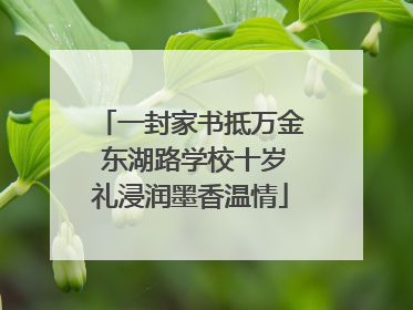 一封家书抵万金 东湖路学校十岁礼浸润墨香温情