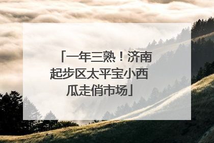 一年三熟！济南起步区太平宝小西瓜走俏市场