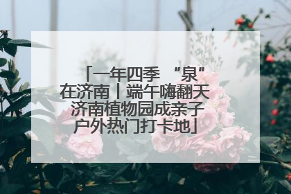 一年四季 “泉”在济南丨端午嗨翻天 济南植物园成亲子户外热门打卡地