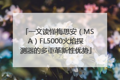 一文读懂梅思安（MSA）FL5000火焰探测器的多重革新性优势