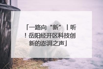 一路向“新”丨听！岳阳经开区科技创新的澎湃之声