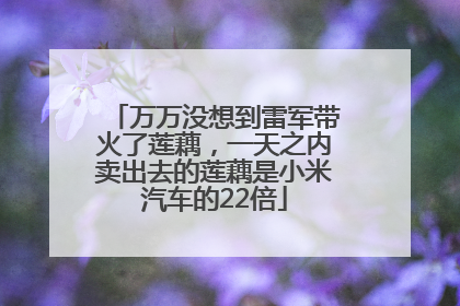 万万没想到雷军带火了莲藕，一天之内卖出去的莲藕是小米汽车的22倍