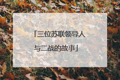 三位苏联领导人与二战的故事