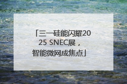 三一硅能闪耀2025 SNEC展，智能微网成焦点