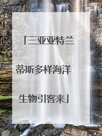 三亚亚特兰蒂斯多样海洋生物引客来