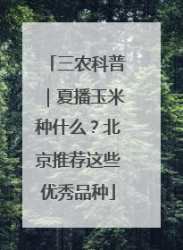 三农科普｜夏播玉米种什么？北京推荐这些优秀品种