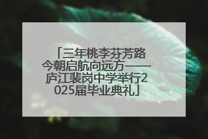 三年桃李芬芳路 今朝启航向远方——庐江裴岗中学举行2025届毕业典礼