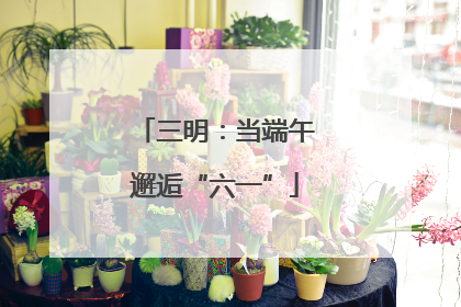 三明：当端午邂逅“六一”