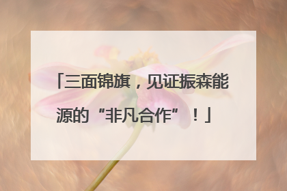 三面锦旗，见证振森能源的“非凡合作”！