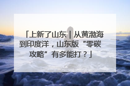 上新了山东｜从黄渤海到印度洋，山东版“零碳攻略”有多能打？