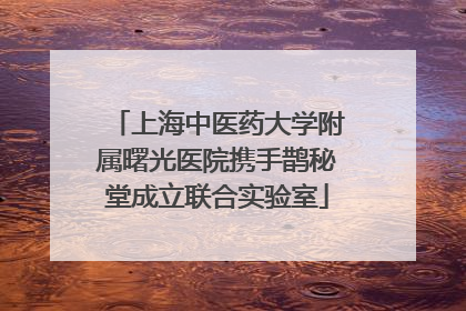 上海中医药大学附属曙光医院携手鹊秘堂成立联合实验室