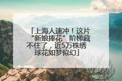 上海人速冲！这片“新娘捧花”阶梯藏不住了，近5万株绣球花如梦似幻