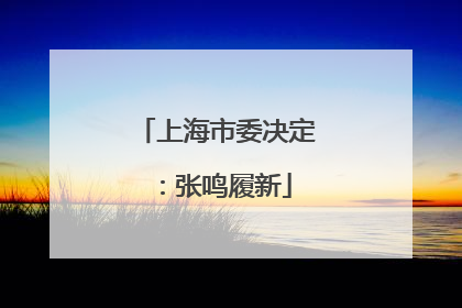 上海市委决定：张鸣履新