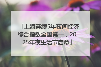 上海连续5年夜间经济综合指数全国第一，2025年夜生活节启幕
