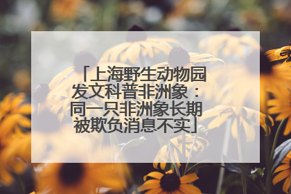 上海野生动物园发文科普非洲象：同一只非洲象长期被欺负消息不实