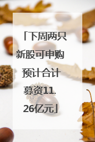 下周两只新股可申购 预计合计募资11.26亿元